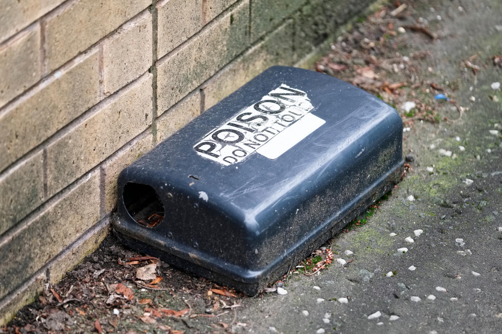 Köderbox