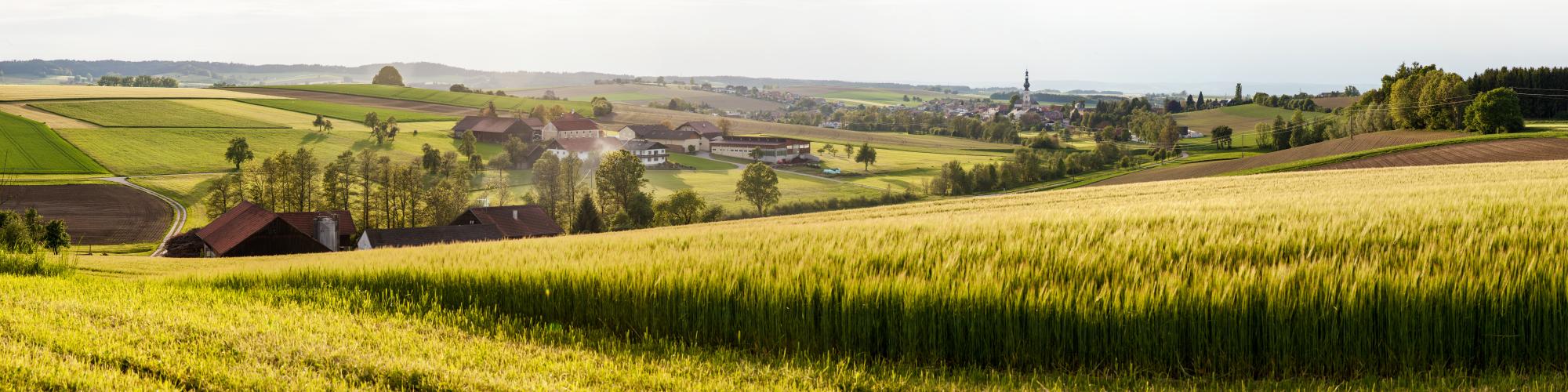 Ort im Innkreis
