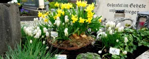 Friedhof Hohenems
