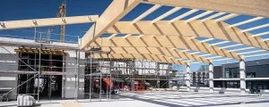 Hallendach aus Holz im Rohbau
