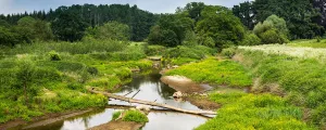 renaturierter Flusslauf