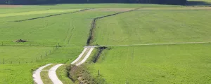 Neu errichteter Wirtschaftsweg und umgelegter Entwässerungsgraben in Nußdorf am Haunsberg etwa ein Jahr nach der Umsetzung.
