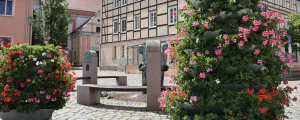 Begrünung in Kyritz