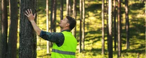 Mann begutachtet Baum