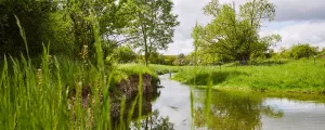 Renaturierter Fluss