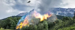 Waldbrand
