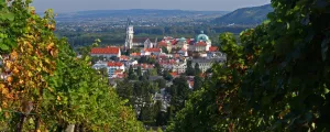 Blick durch die Weingärten auf das Stift Klosterneuburg