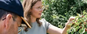 Ragweed verbreitet sich durch die Klimakrise besonders stark. Flächen mit lückiger Vegetation, Randstreifen und Böschungen sollten regelmäßig auf Ambrosia kontrolliert werden. Die burgenländische Landeshauptmann-Stellvertreterin Anja Haider-Wallner ruft zu einer gemeinsamen Anstrengung bei der Bekämpfung auf.