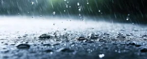 Regen