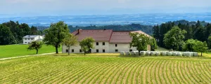 Vierkanthof