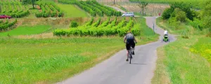 Radfahrer im Burgenland