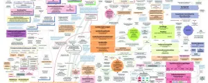 Grafik des politischen Systemes