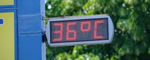 Thermometer zeigt 36 Grad