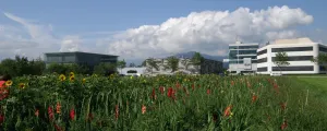 Industriegebiet Millennium-Park in Lustenau