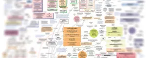 Grafik des politischen Systemes