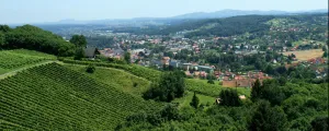Schilcher Weinstraße Deutschlandsberg / Südsteiermark
