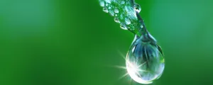 Wassertropfen