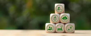 Würfel mit Klimaschutz-Symbolen