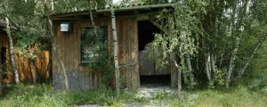 Verfallene Hütte im Wald