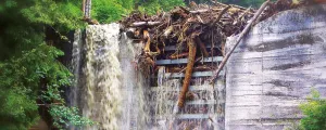 Bäume verstopfen einen Wasserfall