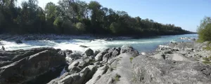 Blick auf die Salzach