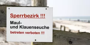 Schild mit der deutschen Aufschrift Maul und Klauenseuche, betreten verboten