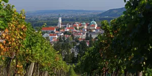 Blick durch die Weingärten auf das Stift Klosterneuburg