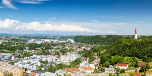 Wels undThalham