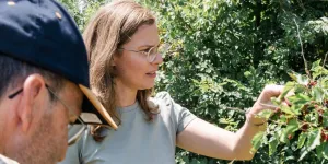 Ragweed verbreitet sich durch die Klimakrise besonders stark. Flächen mit lückiger Vegetation, Randstreifen und Böschungen sollten regelmäßig auf Ambrosia kontrolliert werden. Die burgenländische Landeshauptmann-Stellvertreterin Anja Haider-Wallner ruft zu einer gemeinsamen Anstrengung bei der Bekämpfung auf.