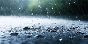 Regen