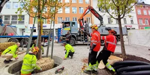 Baumpflanzung in Villach