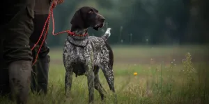 Jäger mit Hund an der Leine