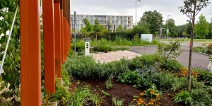 Begrünung der BH Neunkirchen