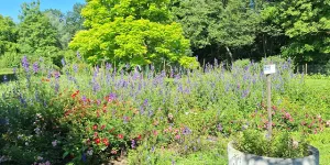 Klimaschutzgarten in Gosdorf