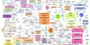 Grafik des politischen Systemes