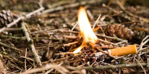 Waldbrand ausgelöst von Zigarettenkippe