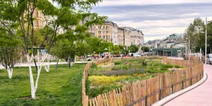 Innerstädtische Begrünung in Wien
