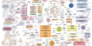 Grafik des politischen Systemes