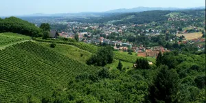 Schilcher Weinstraße Deutschlandsberg / Südsteiermark