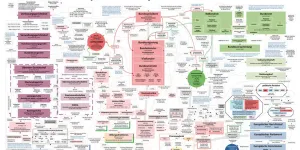 Grafik des politischen Systemes