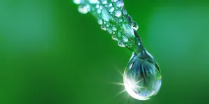 Wassertropfen