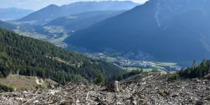 Schäden an einem Schutzwald
