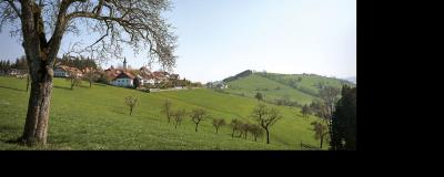 Mostviertel - Baum - Wiese