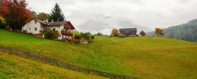 Bergwiese an einem Hang in Tirol