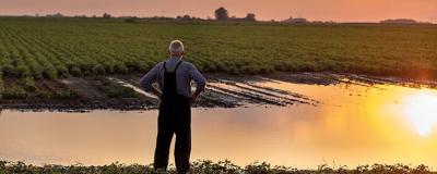 Bauer blickt auf ein überschwemmtes Feld.