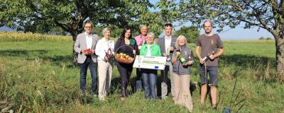 Steuobstwiesenprojekt
