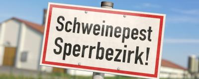 Tafel mit Aufschrift "Schweinepest Sperrbezirk"