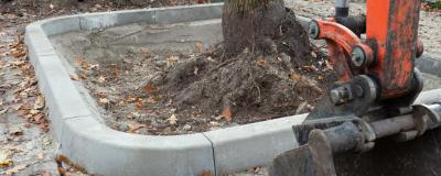 Entsiegelung Baumscheibe - Baumaschinen und vergrößerte Baumgrube mit Einfassung am Straßenrand