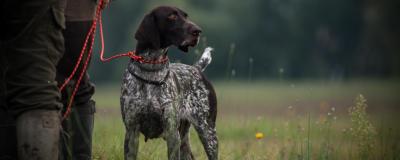Jäger mit Hund an der Leine