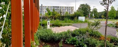 Begrünung der BH Neunkirchen